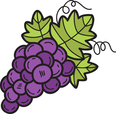 Hand Drawn grape illustration in doodle style isolated on backgroundのイラスト素材