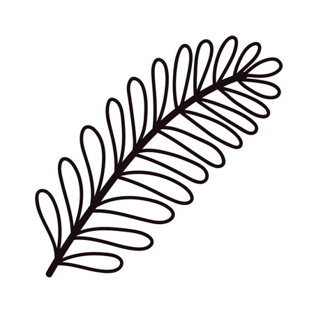 Hand Drawn palm leaves from the top view in doodle style isolated on backgroundのイラスト素材