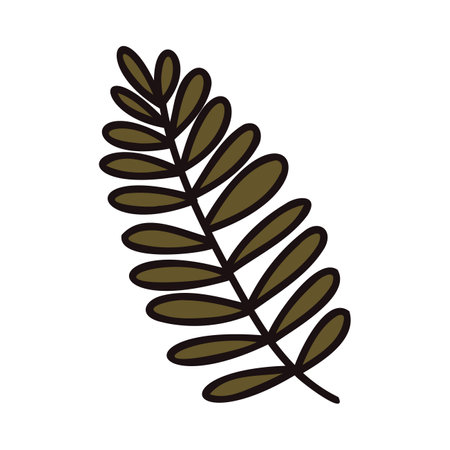 Hand Drawn palm leaves from the top view in doodle style isolated on backgroundのイラスト素材