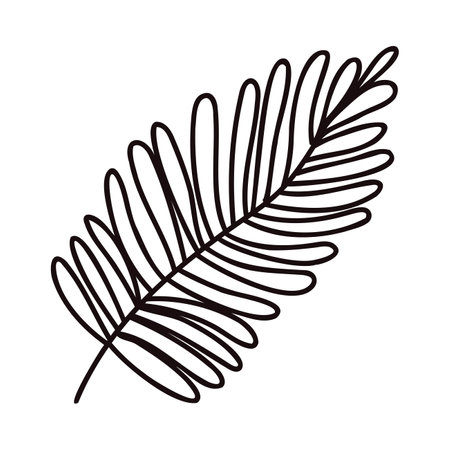 Hand Drawn palm leaves from the top view in doodle style isolated on backgroundのイラスト素材