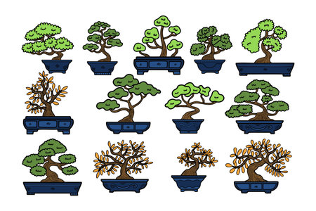 Hand Drawn Japanese and Chinese style bonsai trees in flat style isolated on backgroundのイラスト素材