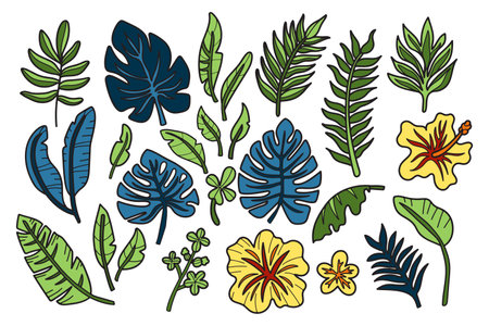 A collection of black and white drawings of various tropical plants and flowers. Scene is serene and peaceful, with the plants and flowers appearing to be in a natural settingのイラスト素材
