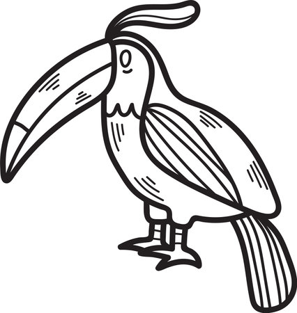 A black and white drawing of a bird with a large beak and a colorful tail. The bird is standing on one leg and looking at the cameraのイラスト素材
