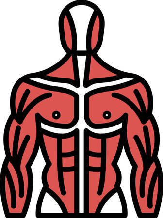 A man's body is drawn in black and white. The image is of a muscular man with a strong physique. The man's chest and stomach are emphasized, and his arms are shown prominentlyのイラスト素材