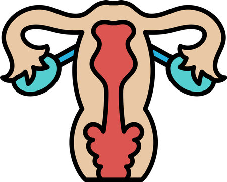 The image is a cartoon of a woman's reproductive system. The drawing is colorful and detailed, with the focus on the cervix and the surrounding area. Scene is informative and educationalのイラスト素材
