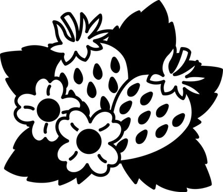 A drawing of a strawberry and a white flowerのイラスト素材