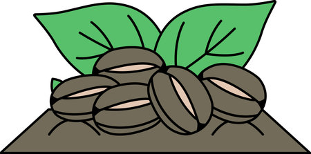A drawing of a bunch of coffee beans on a leaf. The beans are all different sizes and are scattered around the leafのイラスト素材