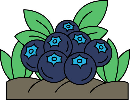 A drawing of blueberries with a leafy background. The blueberries are arranged in a way that they look like they are growing out of the ground. The drawing has a peaceful and calming moodのイラスト素材