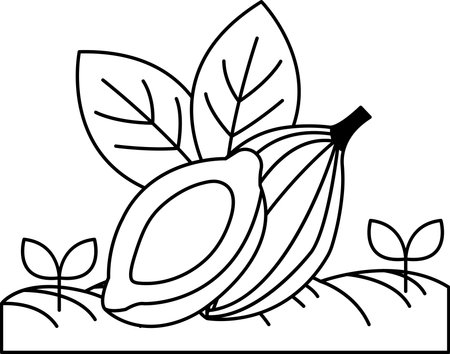 A drawing of a banana with a leaf on top. The banana is cut in half and the leaf is greenのイラスト素材