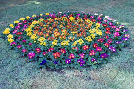 gardenの写真素材