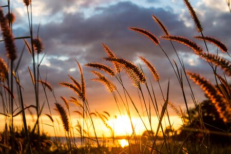 Sunset in the eveningの写真素材