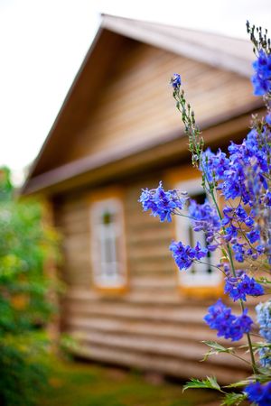 wooden country house with front garden. flowers in a focus. small GRIPの写真素材