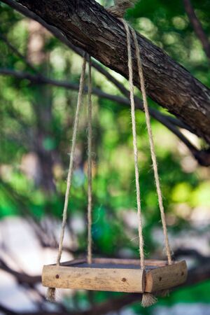 wooden bird feeder hanging on the tree branchの写真素材