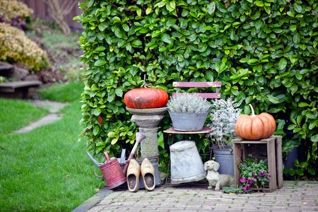 garden thanksgiving and halloween decoration. horizontal shotの写真素材