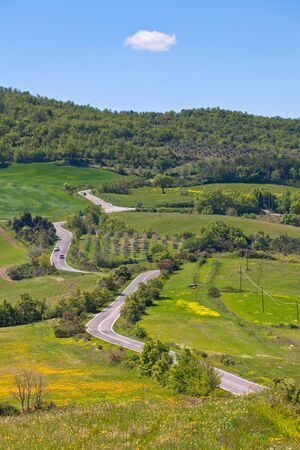 Outdoor green Tuscan view with local curve road. Vertical shotの写真素材