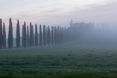 Morning fog view on farmhouse at Valley d?Orcia in Tuscany, Italy. の写真素材
