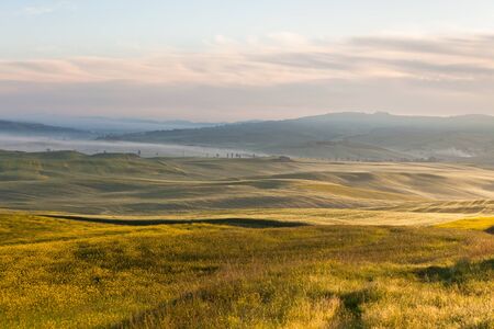 Morning fog view on fields at Valley d?Orcia in Tuscany, Italy.の写真素材