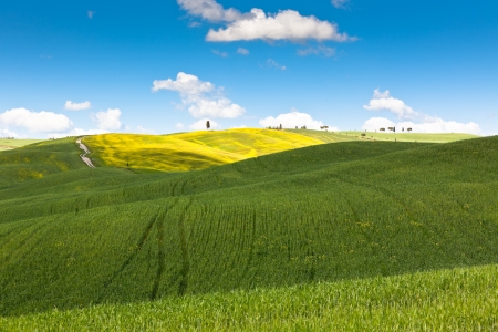 Outdoor Tuscan Val d'Orcia green and yellow fields view with blue sky.の写真素材