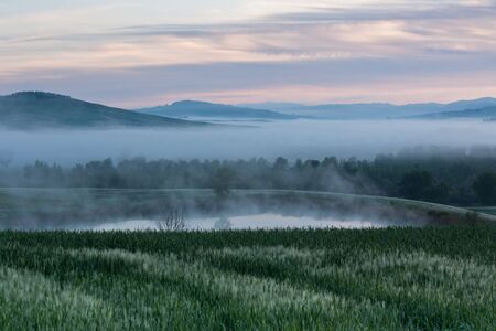 Morning fog landscape at Valley d?Orcia in Tuscany, Italy.Êの写真素材