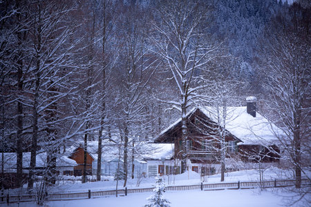 Fairy tale landscape: snowy Alpine house in the woods.ÊToned and vignetted image as postcardのeditorial素材