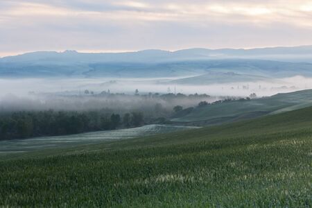 Morning fog view on farmland at Valley d?Orcia in Tuscany, Italyの写真素材