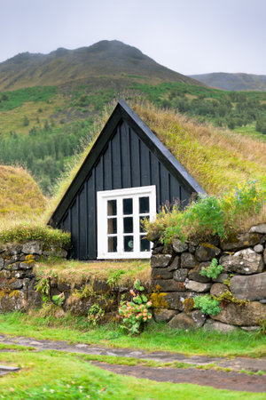 Overgrown Typical Rural Icelandic house at overcast dayのeditorial素材