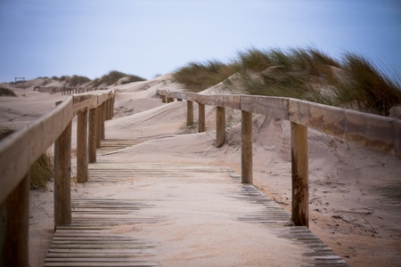 Wooden footpath through dunes at the ocean beach in Portugalの写真素材