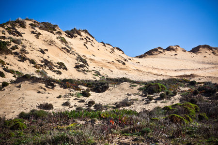 Dunes at the Ocean Beach in Western Portugal  Horizontal Vignetted shotの写真素材