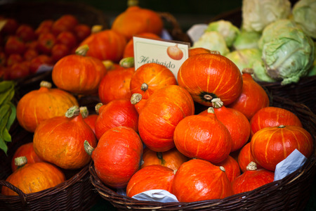 Orange pumpkins in a market. Horizontal shot with selective focusの写真素材