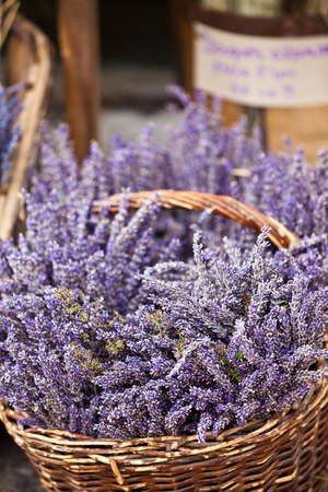 Lavender bunches selling in a outdoor french market. Vertical shot with selective focusの写真素材