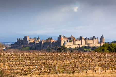 View of Carcassonne castle in Languedoc-Rosellon (France). Foggy weatherのeditorial素材