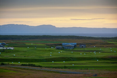 White Hay Rolls at Green Field of Iceland. Sunset time. Horizontal shotの写真素材