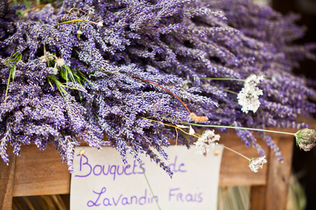 Lavender bunches selling in an outdoor french market. Horizontal shot with selective focusの写真素材