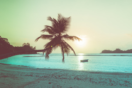 Tropical beach at Mahe island Seychelles. Filtered shot with lightleaks on the pulm and bright sunの写真素材