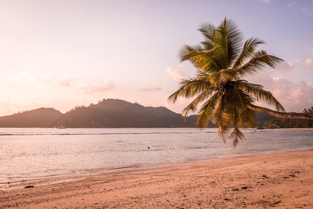 Tropical beach at Mahe island Seychelles. Horizontal filtered shotの写真素材