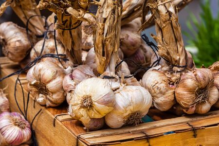 Garlic bunches in a farmers market. Shot with a selective focusの写真素材