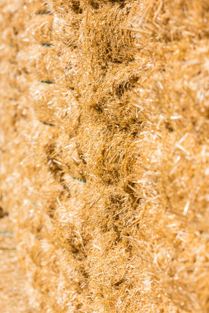 Fresh straw hay bales background. Shot with a selective focusの写真素材