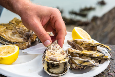 Male hand holding oysters on a plastic plate near the sea