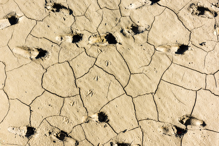 details of a dried cracked earth soil. backgroundの写真素材