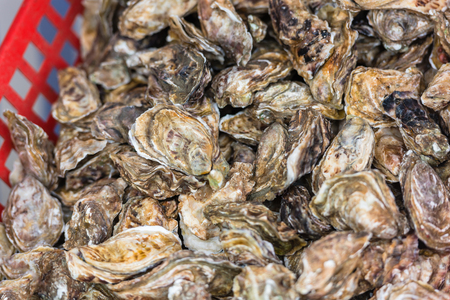 Oysters market in Cancale, Brittany, France. Shot with a selective focusの写真素材