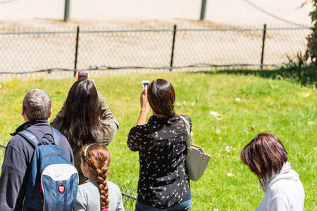 FRANCE, PARIS - JUNE 06: Back side of tourists taking a photo with their phones in Paris on June 06, 2015のeditorial素材