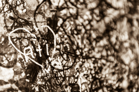 The wall full of messages from lovers in Juliet house, Verona, Italy.の写真素材