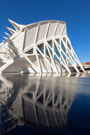 VALENCIA, SPAIN - DECEMBER 24, 2010: View of Valencia architectural complex City of Arts and...