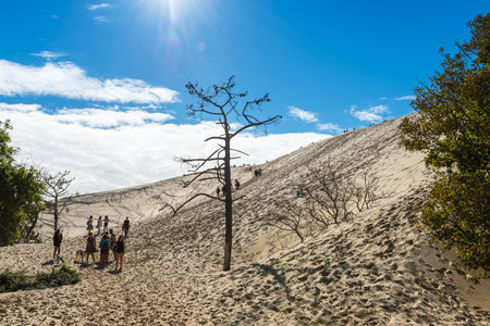 FRANCE, LA TESTE-DE-BUCH - SEPTEMBER 19: people visiting the famous highest sand dune in Europe Dune of Pyla on September 19, 2015のeditorial素材