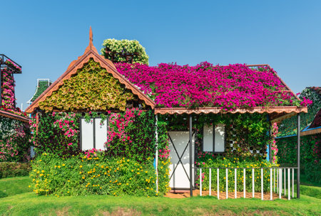 UAE, DUBAI - DECEMBER 30: dubai miracle garden with over million flowers on a sunny day December 30, 2014のeditorial素材
