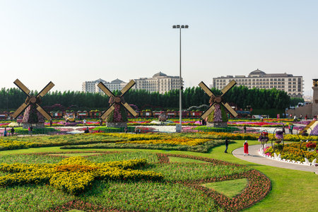 UAE, DUBAI - DECEMBER 30: dubai miracle garden with over million flowers on a sunny day December 30, 2014のeditorial素材