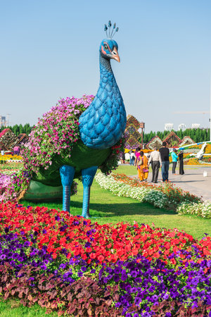 UAE, DUBAI - DECEMBER 30: dubai miracle garden with over million flowers on a sunny day December 30, 2014のeditorial素材
