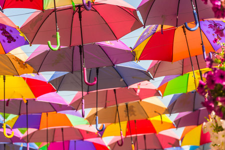 UAE, DUBAI - DECEMBER 30: multicolor umbrellas roof in Dubai miracle garden on December 30, 2014のeditorial素材