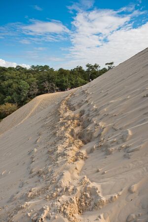 View down from the dune of Pyla, Europe's highest duneの写真素材