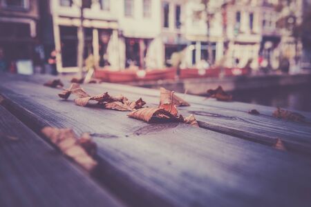 Fallen autumn leaves on a wooden table in the town. Filtered shot